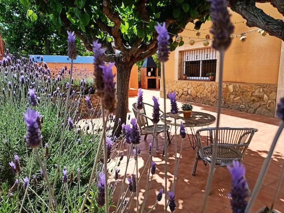 Mas Del Vent- Barbacoa, Jardin, Piscina Privada Y Vistas A Mar Villa Cunit Dış mekan fotoğraf